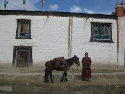 TREKKING IN MUSTANG 2010